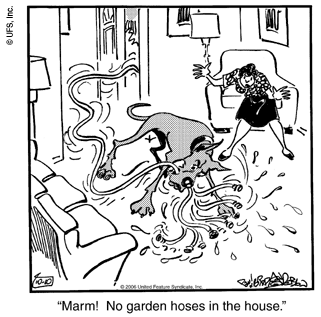 marmaduke